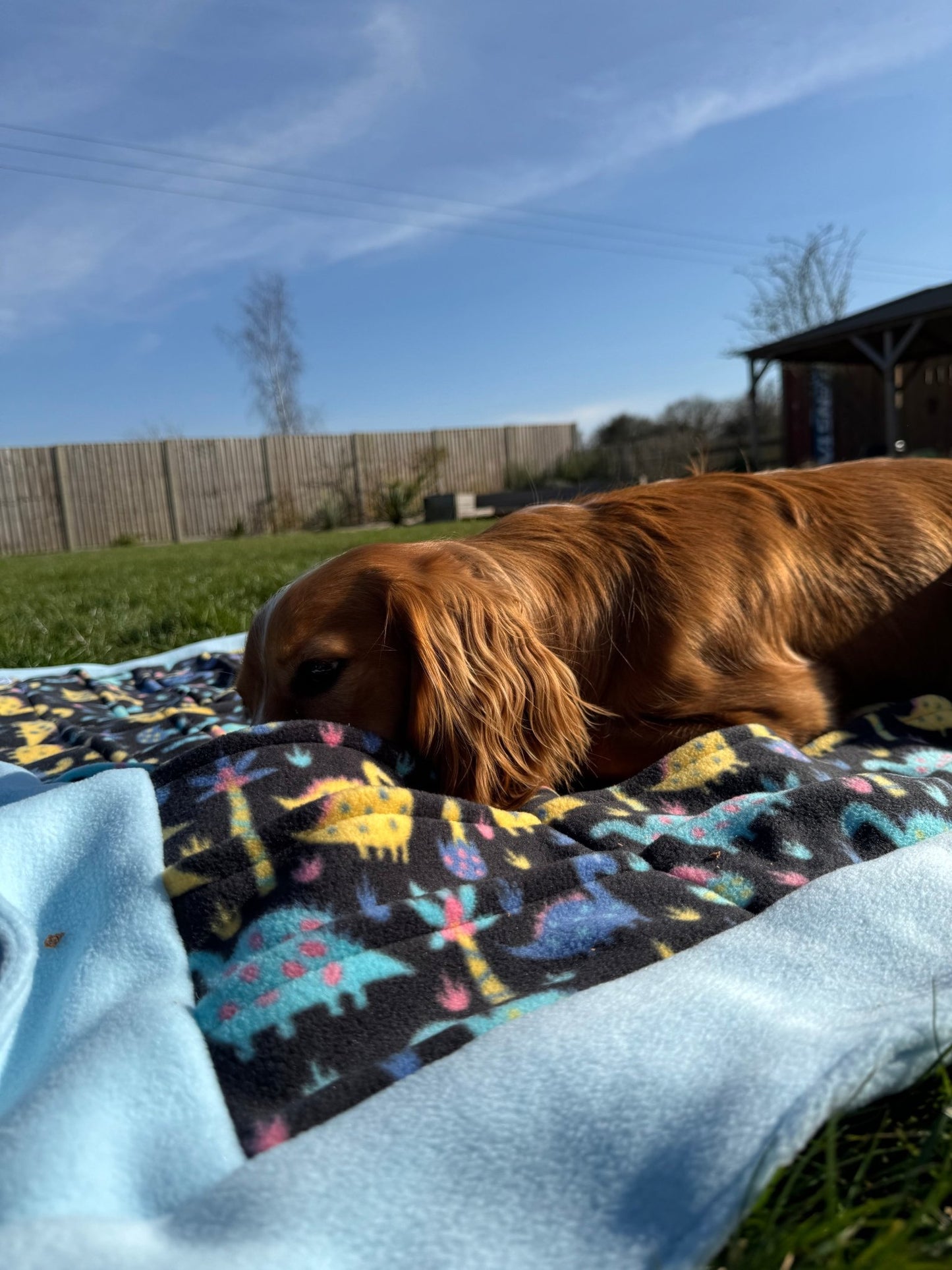 #Fetch and Thrive# - #Enrichment Toys# - #Dog Toys# - #Chew Toys#