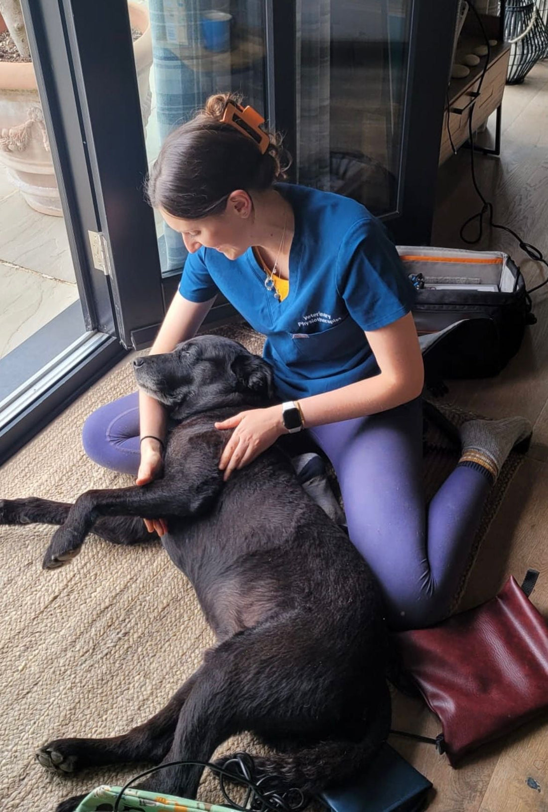 The Power of the Brain: Why Mental Stimulation is Vital for Dog Recovery and Wellbeing - Fetch & Thrive