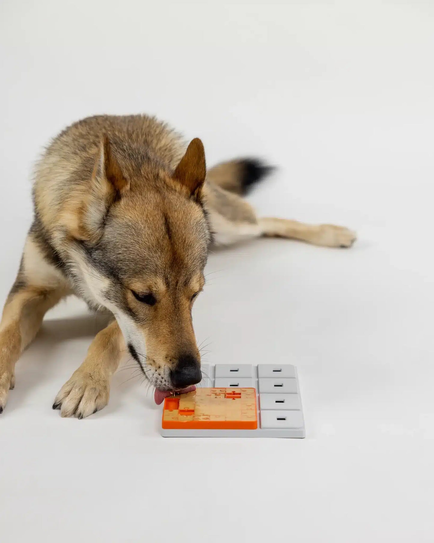 Fetch and Thrive - Enrichment Toys - Dog Toys - Chew Toys