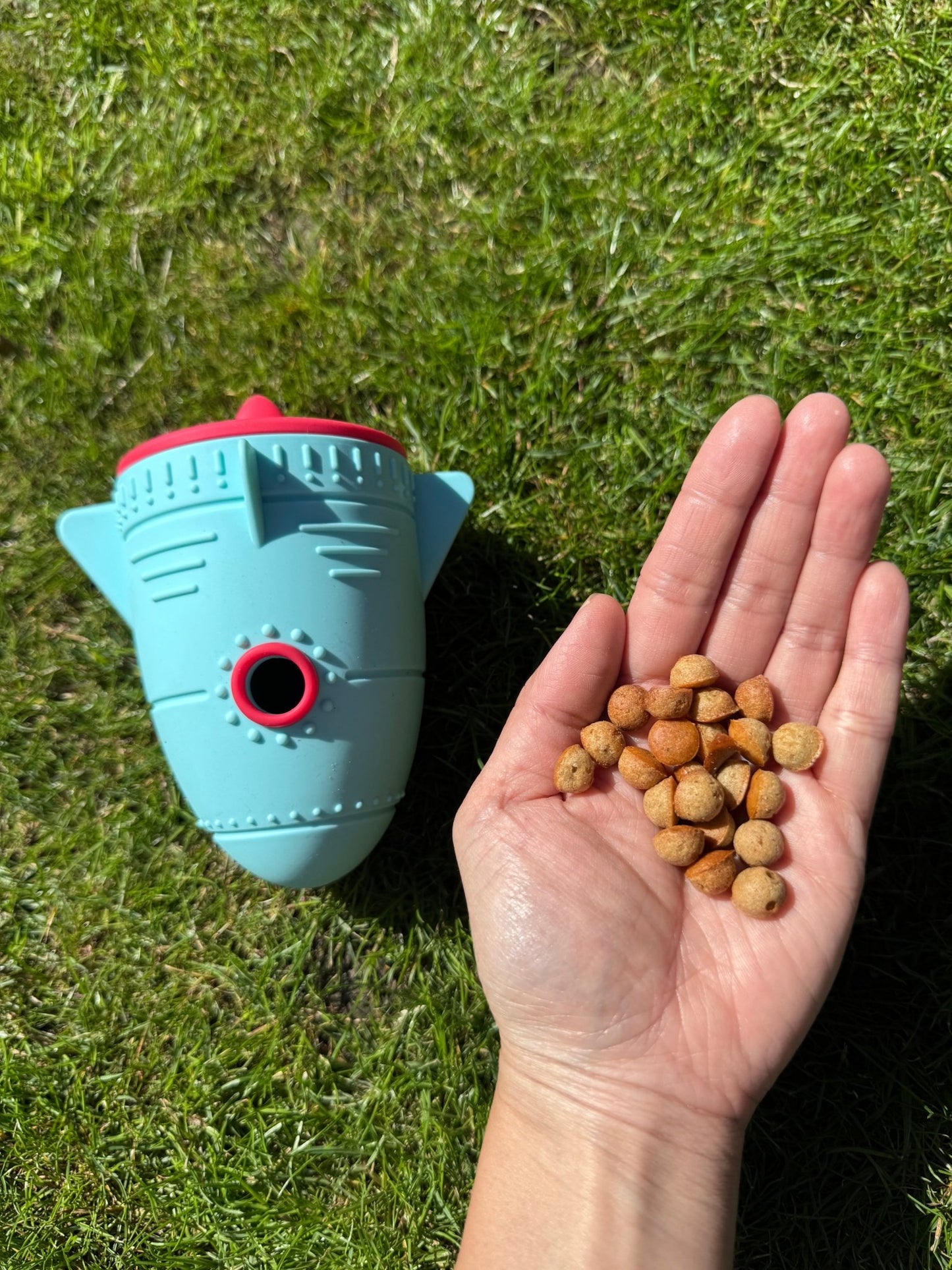 Fetch and Thrive - Enrichment Toys - Dog Toys - Chew Toys