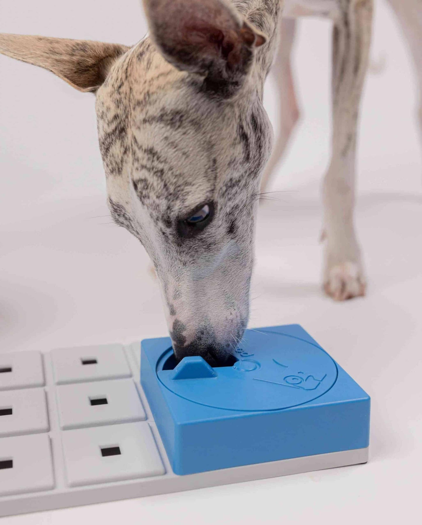 Fetch and Thrive - Enrichment Toys - Dog Toys - Chew Toys