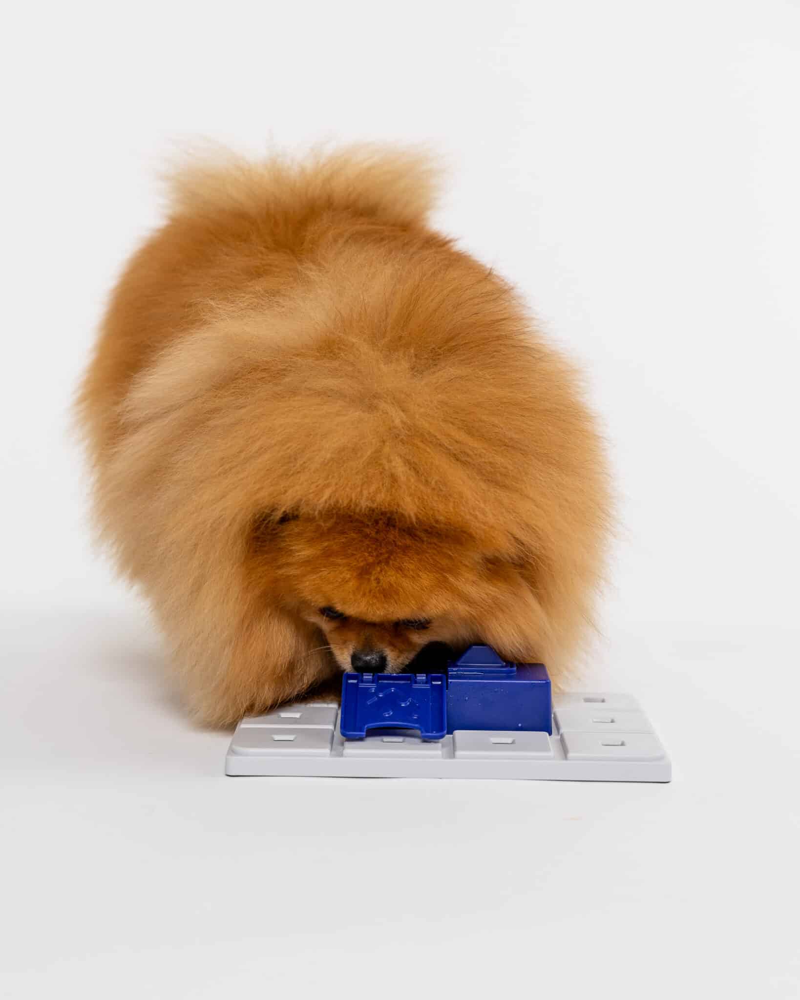 Fetch and Thrive - Enrichment Toys - Dog Toys - Chew Toys