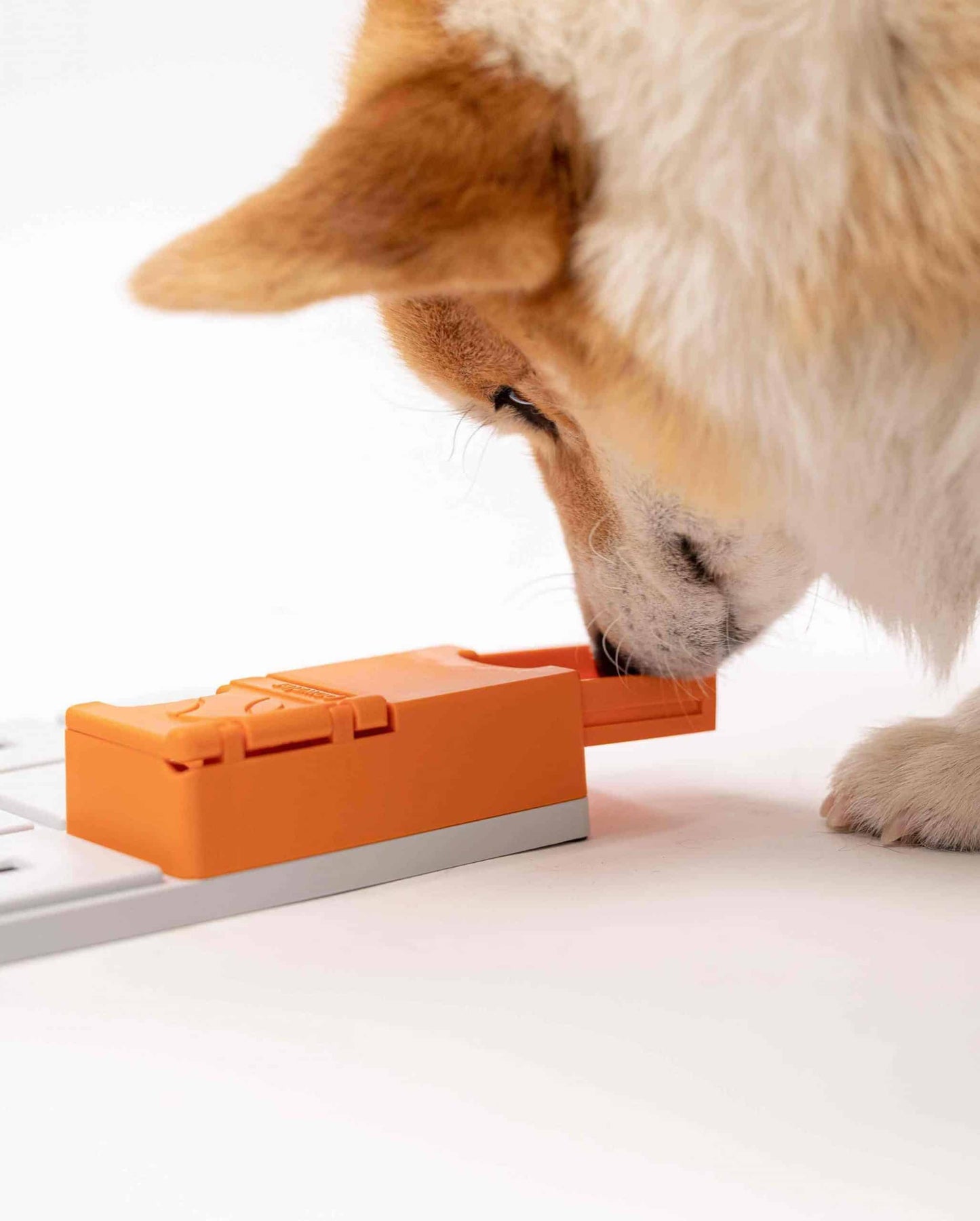 Fetch and Thrive - Enrichment Toys - Dog Toys - Chew Toys