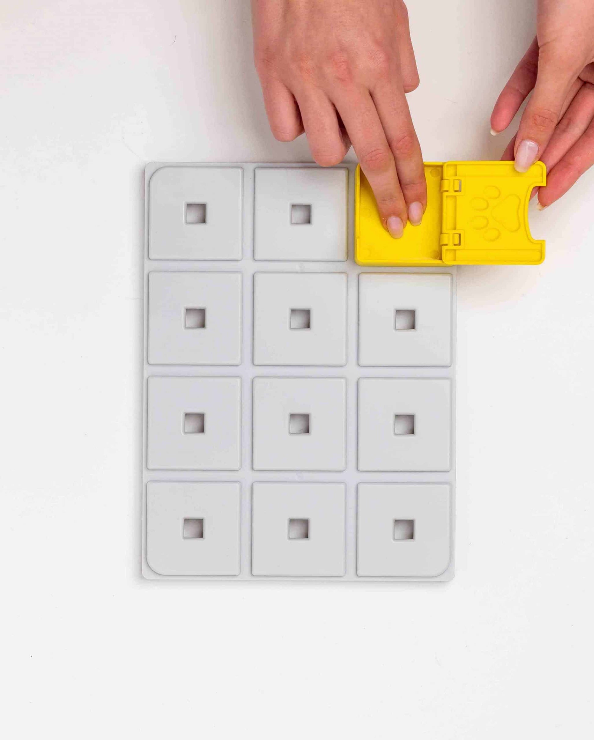 Fetch and Thrive - Enrichment Toys - Dog Toys - Chew Toys