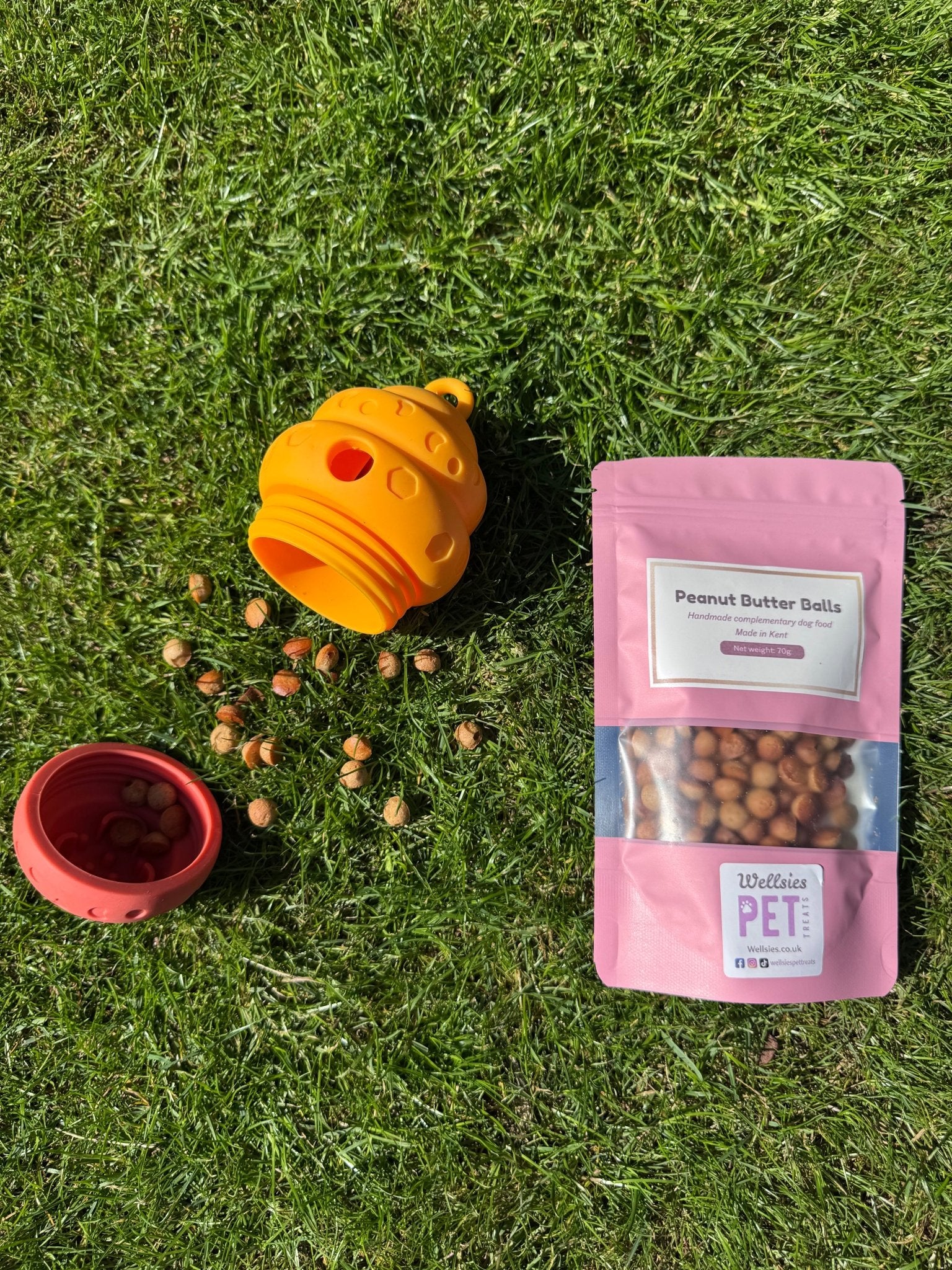 Fetch and Thrive - Enrichment Toys - Dog Toys - Chew Toys