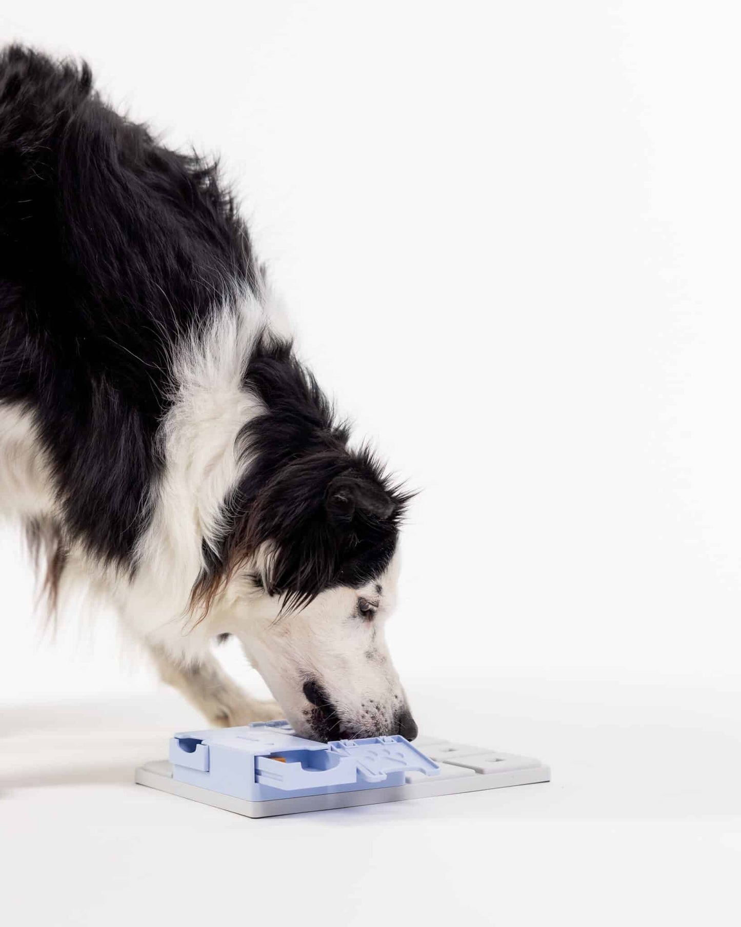 Fetch and Thrive - Enrichment Toys - Dog Toys - Chew Toys