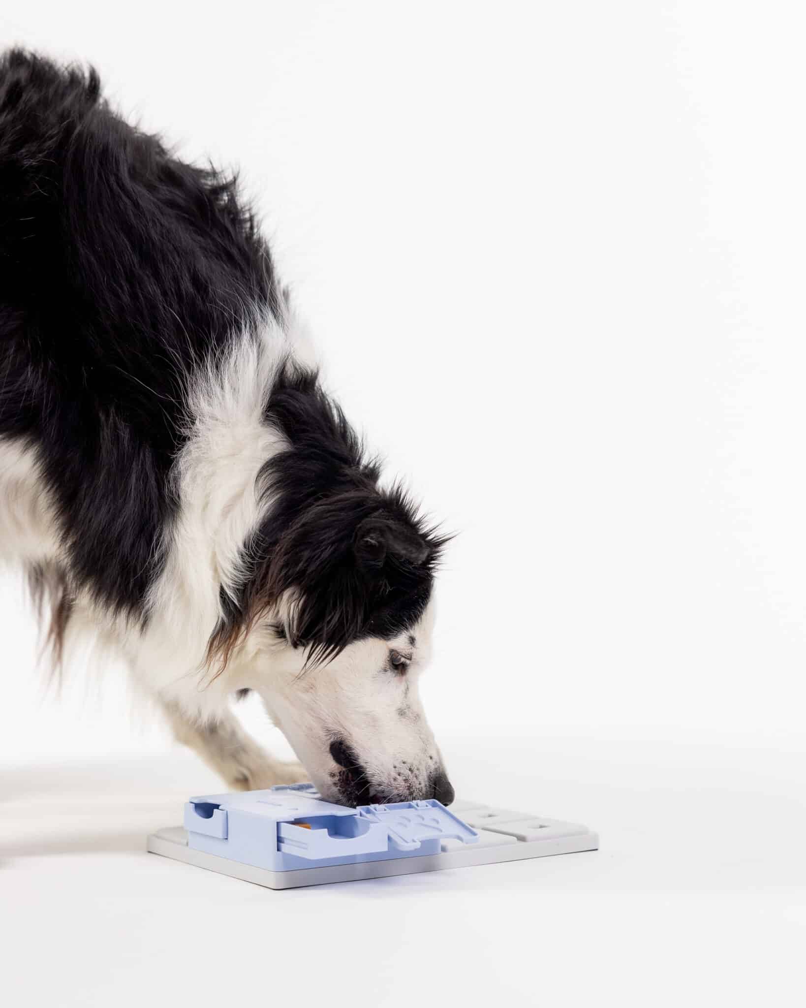 Fetch and Thrive - Enrichment Toys - Dog Toys - Chew Toys