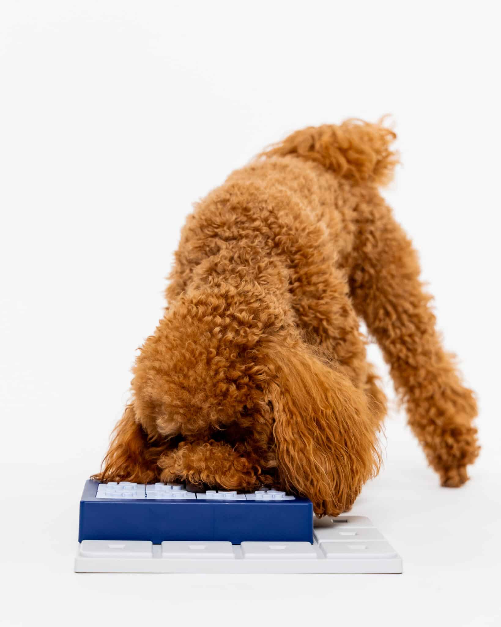 Fetch and Thrive - Enrichment Toys - Dog Toys - Chew Toys