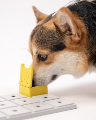 Fetch and Thrive - Enrichment Toys - Dog Toys - Chew Toys