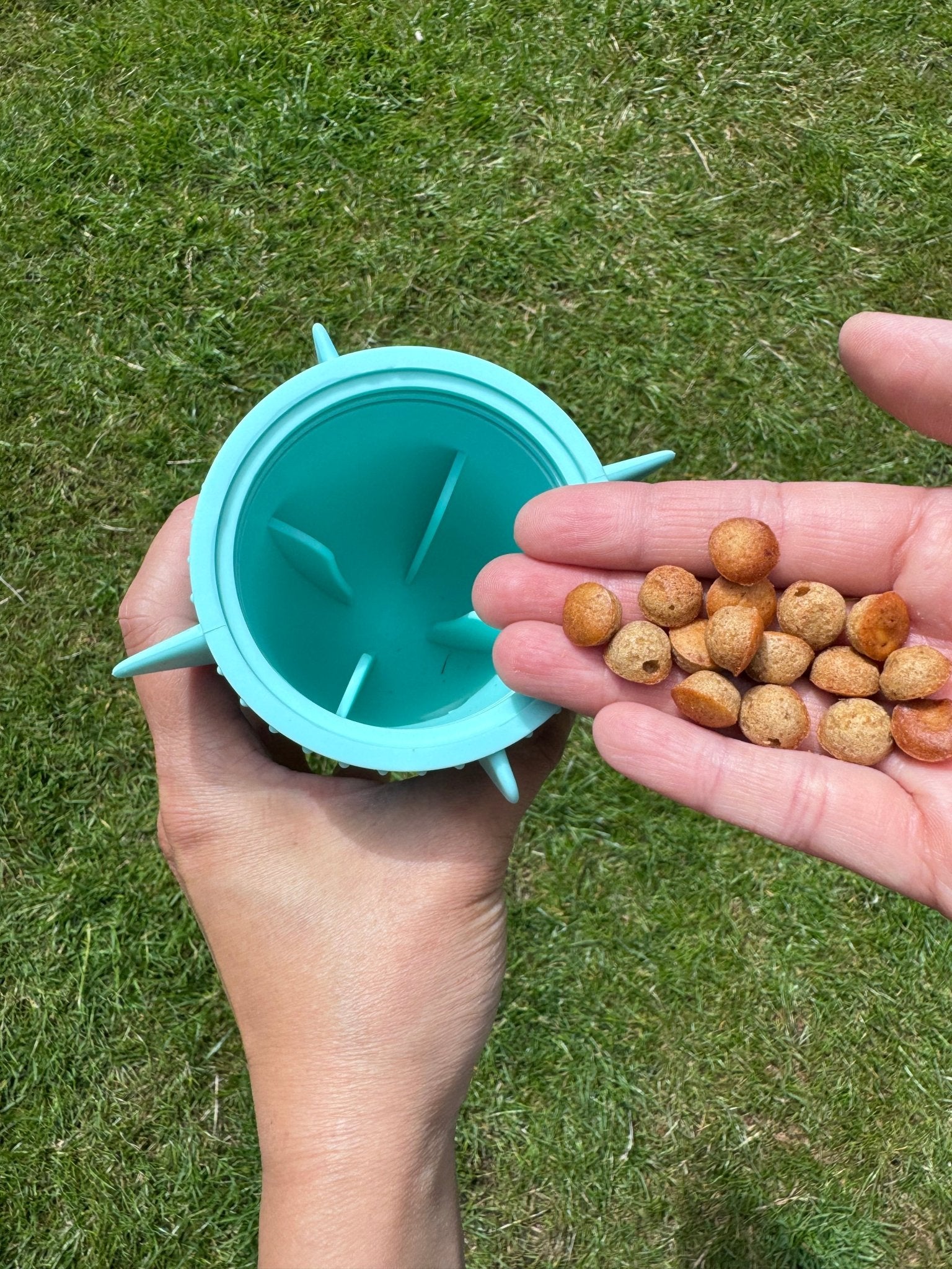 Fetch and Thrive - Enrichment Toys - Dog Toys - Chew Toys